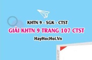 Giải KHTN 9 trang 107 Chân trời sáng tạo SGK